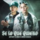 Se Lo Que Quiero Single