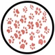 The Groovy Cat Single