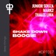 Shakedown Boogie Single