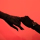 Slow Down Single