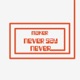 Never Say Never feat Choosey Single