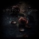 Unspoken Love Single