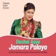 Dasai Aayo Jamara Palayo