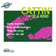Cattin with Theo De Jong Frits Landesbergen Jeroen De Rijk