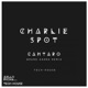 Cantaro Bruno Zarra Remix Single