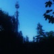 pallor Single