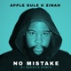 No Mistake feat Zinah DJ Mikah S Remix Single