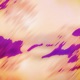Cherry Blossoms feat Eli Lefty Single