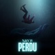 Perdu Single