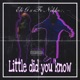 Little Did You Know feat eFe Nikko Single
