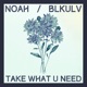 Take What U Need feat Blkulv Single