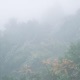 Mist