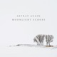 Astray Again Single