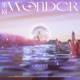 乐园Wonder Single