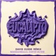 Eucalipto David Eusse Remix Single