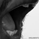 Arguments Single