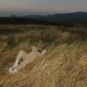 dreams Single
