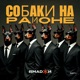 Собаки на районе Single