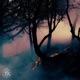 The Witch s Laugh Single