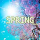 Spring Single