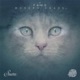 Modern Chaos EP
