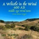 A Whistle in the Wind 600 Ad Middle Ages Wind Scene From Chrono Trigger Low Whistle Version Single