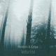 Veturinn Single
