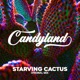 Starving Cactus Single