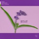 Stay feat Dalilah Single