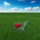 Welcome to my jurek Single