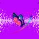 Xslove Single