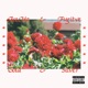 Gold Silver EP