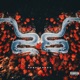 26 EP