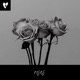 Roses Single