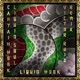 Liquid Hook Victor Ruiz Remix Single
