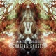 Chasing Ghosts Single