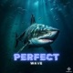 Perfect Wave Single