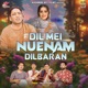 Dil Mei Nuenam Dilbaran Single