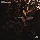 Places We Go The Remixes feat Fractures Single