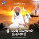 Sri Santh Sevalal Maharaj Single