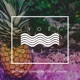 Summertime Fling feat Alyshah Single