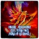 Phoenix Adrian Sulok feat Uyanga Bold VOICES OF THE EMPIRE Single
