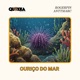 Ouriço do Mar Single