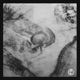 Dark Dissection EP