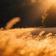 Warm Drift Single
