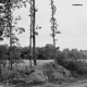 Blumenholz EP