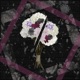 I Gave U Flwrs Single