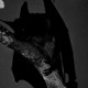 NOT INVITED feat kuurxme Single