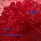 Rot Single