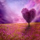 In Love feat Krich Single